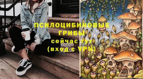 спайс Алексин