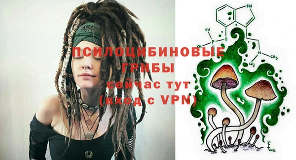 прущие грибы Алзамай
