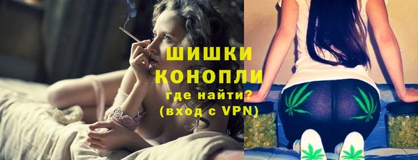 прущие грибы Алзамай